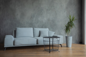gray sofa, flower pot and black designer table