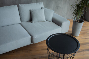 gray sofa, flower pot and black designer table