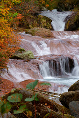 Fototapeta na wymiar カラフルな秋の森の中を流れる滝のある流れ　-日本、長野県、おしどり隠しの滝