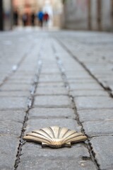 Soft focus of a brass shell figurine on a cobblestone street