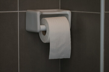 Toilet paper, white circular roll in the four, put beside the wall in the bathroom. The picture has some clarity.
