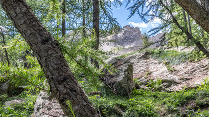 Paysage de montagne dans les Alpes dans le parc du Mercantour - Landscape alpin mountain