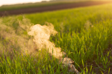 The white smoke in grass