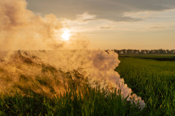 The white smoke in grass against evening sun.