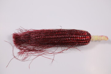 Siam Ruby Queen Corn with corn silk on white background