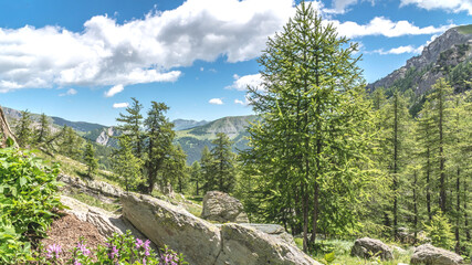 Fototapeta premium Paysage de montagne dans les Alpes dans le parc du Mercantour - Landscape alpin mountain