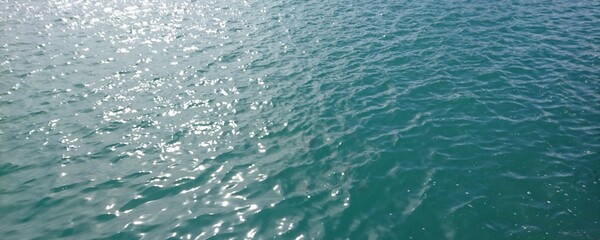 blue water wave with swimming fish