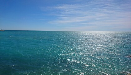 blue water wave with swimming fish