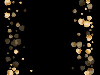 Gold seashells vector, golden pearl bivalved mollusks. 