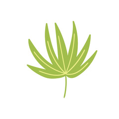 Child's drawing green tropical leaf hand-drawn. Vector illustration