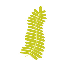 Child's drawing green tropical leaf hand-drawn. Vector illustration