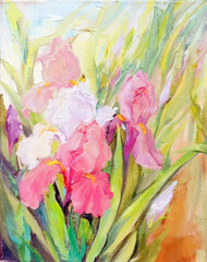 Oil painting. Blooming pink irises.
