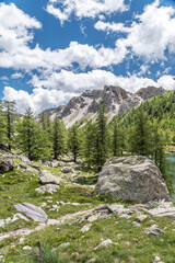 Paysage alpin dans le parc du Mercantour - Alpine landscape in the Mercantour park in the South of...