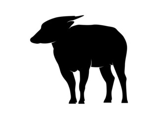 Isolated Vector Endemic Animal of Sulawesi. Anoa Silhouette on White Background