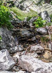 Paysage alpin dans le parc du Mercantour - Alpine landscape in the Mercantour park in the South of France