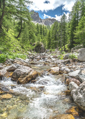 Fototapeta na wymiar Paysage alpin dans le parc du Mercantour - Alpine landscape in the Mercantour park in the South of France