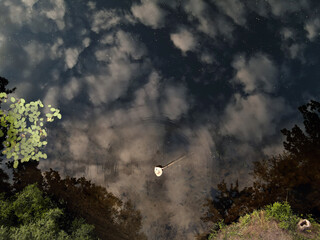 Summer fishing in a cool forest