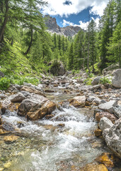 Paysage alpin dans le parc du Mercantour - Alpine landscape in the Mercantour park in the South of...