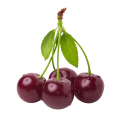 protein, ingredient, cooking, animal, black, catch, close-up, cold, contemplation, cook, cutthroat, delicious, diet, dinner, eat, eye, fin, fish, fishing, food, freeze, fresh, freshwater, healthy, hob