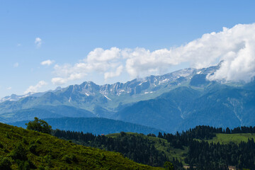 Fototapeta na wymiar Wildlife. Blue sky and the beauty of green mountains and meadows.
