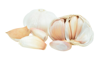 Fresh Garlic on white background