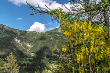 Paysage de montagne des Alpes dans le Parc du Mercantour - Alps mountain landscape in the Mercantour Park