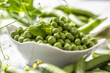 Green raw peas and pods in pocelain bow isolated on wooden table