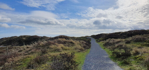 Fototapeta na wymiar Sint Maartenszee Netherlands a path in the dunes mid February 2020 with beautiful weather and blue sky