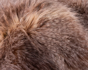 Faux fur skin closeup, warm brown fluffy  texture
