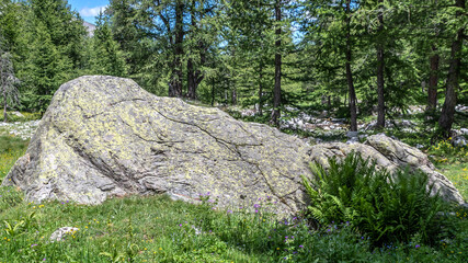 Paysage de montagne des Alpes dans le Parc du Mercantour - Alps mountain landscape in the Mercantour Park