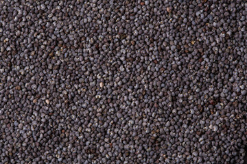 Poppy seeds as a background texture. Macro