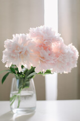 Beautiful pink peonies in a vase at home interior. Flower composition. Floral shop concept. Beautiful fresh cut bouquet. copyspace