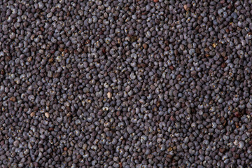 Poppy seeds as a background texture. Macro