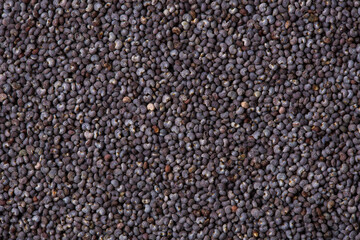 Poppy seeds as a background texture. Macro