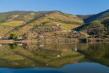 Fototapeta na wymiar Douro Valley and river