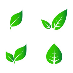 Abstract leaf icon set isolated on white background. Collection of leaf icons for symbol, logo, sign, label and app. Creative art concept. Vector illustration, flat leaves
