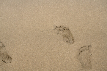 Fototapeta na wymiar 砂浜の足跡