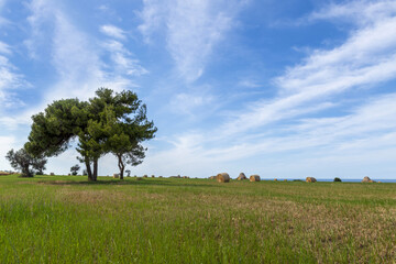 Paysage de campagne en Italie sur la côte adriatique