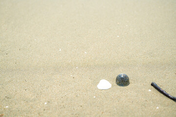 Fototapeta na wymiar 砂浜と貝殻とガラス玉
