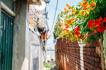 Fototapeta na wymiar Ugakro cultural village alley with flowers in Incheon, Korea