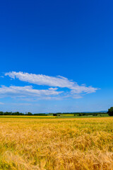 Nidderau im hessischen Main-Kinzig-Kreis