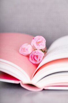 Pink freesia flowers on an open book. Gray background, copy space