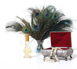 Vintage Jewelry Box and Peacock Feathers