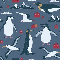 Antarctica seamless pattern with penguin, albatross, tern,