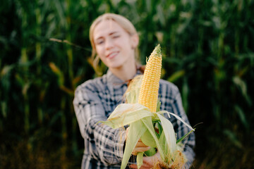 Beuatiful positive blonde girl in corn field with maze in hands with blurred background