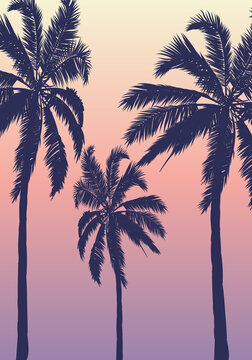 Summer tropical background with 3 palm trees sky and sunset, vector art illustration.