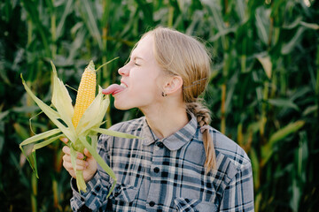 Beuatiful positive blonde girl in corn field with maze in hands. Girl licking corn by tip of tongue Beautiful girl tasting checking corn maize. Girl with long longue