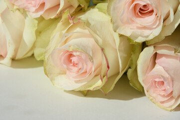 Fototapeta na wymiar beautiful delicate bouquet of flowers. wedding decoration. roses are pale pink.