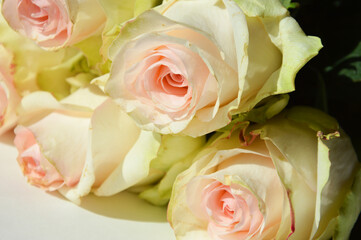 beautiful delicate bouquet of flowers. wedding decoration. roses are pale pink.