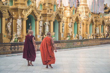 Naklejka premium Praying in Schwedagon Pagoda, Yangon Myanmar